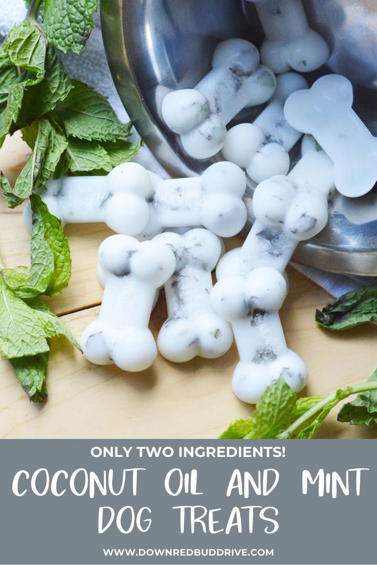 ingredients for coconut oil and mint dog treats on a wooden table with text overlay