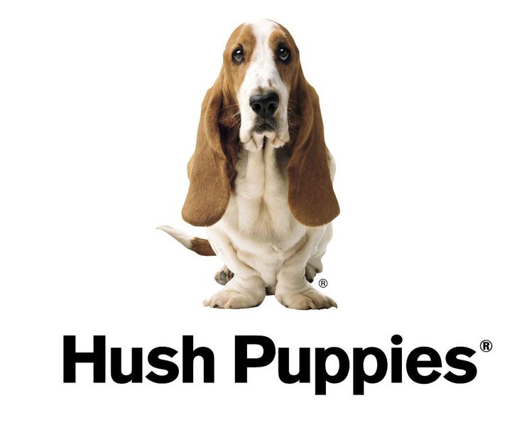 a brown and white dog sitting next to the hush puppies logo on a white background