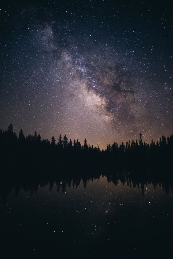 the night sky is filled with stars and trees, as well as some dark water