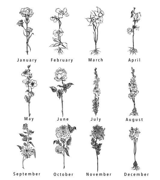 an image of flowers that are in the months