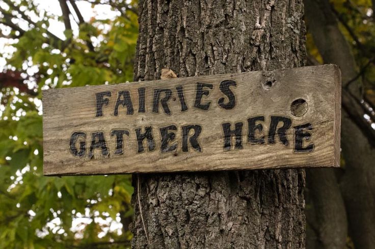 a wooden sign that says fairies gather here on a tree in front of some trees