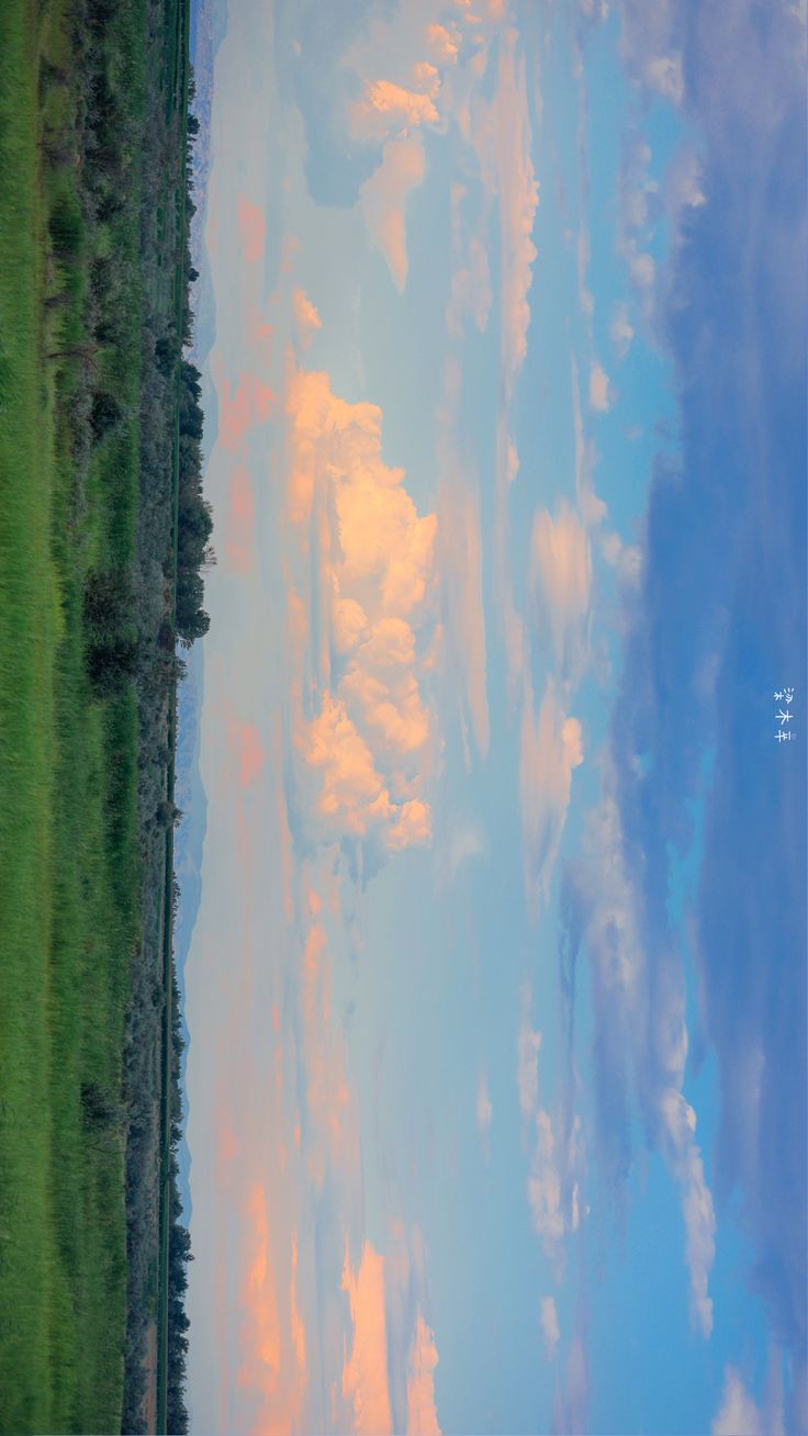 the sky is reflecting in the water and clouds are reflected on the grass behind it