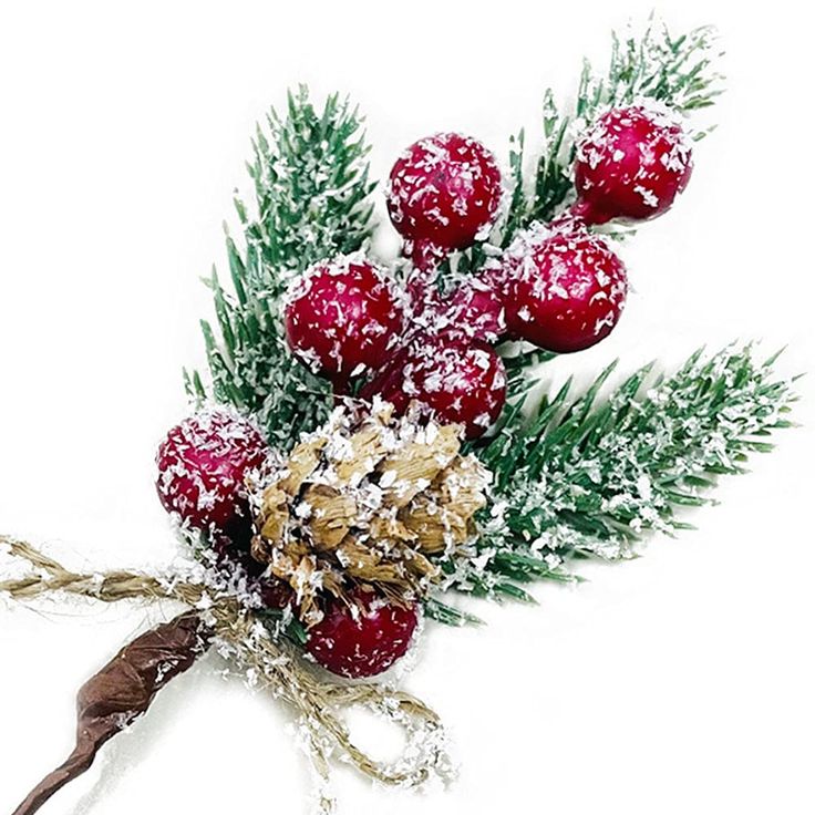 a bouquet of berries and pine cones covered in snow