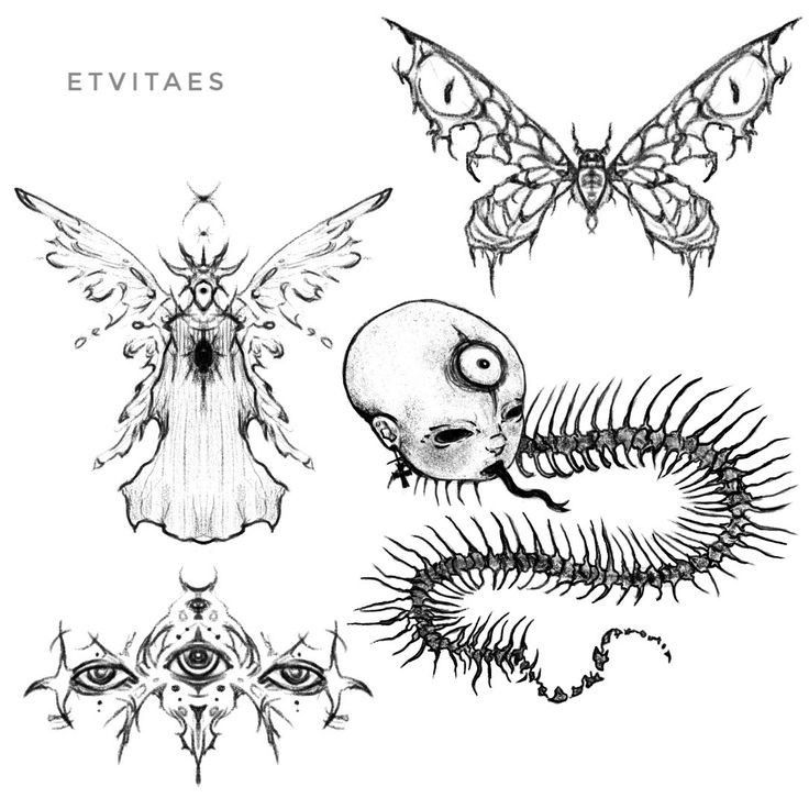 an image of different insect designs