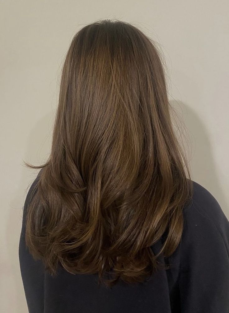 Honey Brown Hair Color, Honey Brown Hair, Brown Hair Looks, Brown Hair Inspo, Brown Hair Color, Hairstyles For Layered Hair, Hair Stylies, Haircuts For Medium Hair, Haircuts Straight Hair