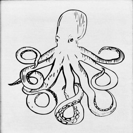 black and white drawing of an octopus with rings around it's neck, in front of a white background