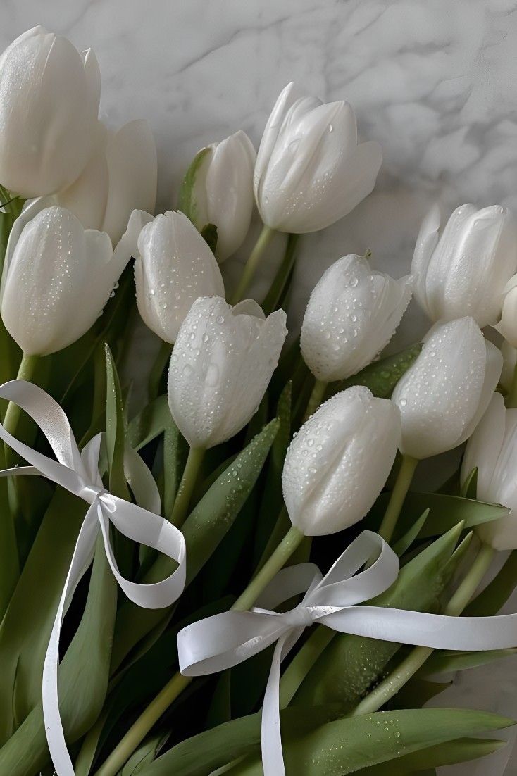 a bouquet of white tulips with a ribbon tied around the stems on a marble surface