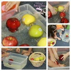 several pictures of apples being peeled and put in bins to be filled with water