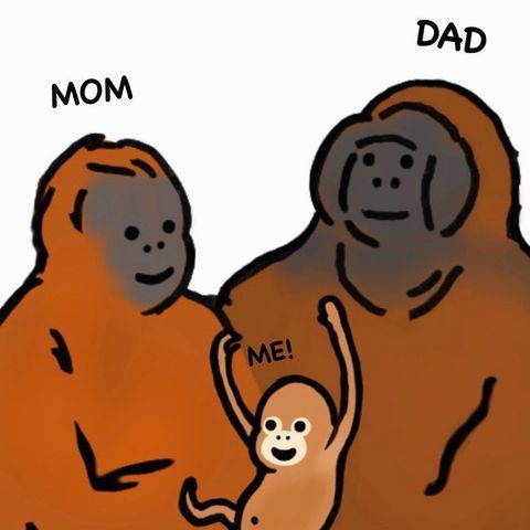 an image of a mom and baby monkey with the words me on it's chest