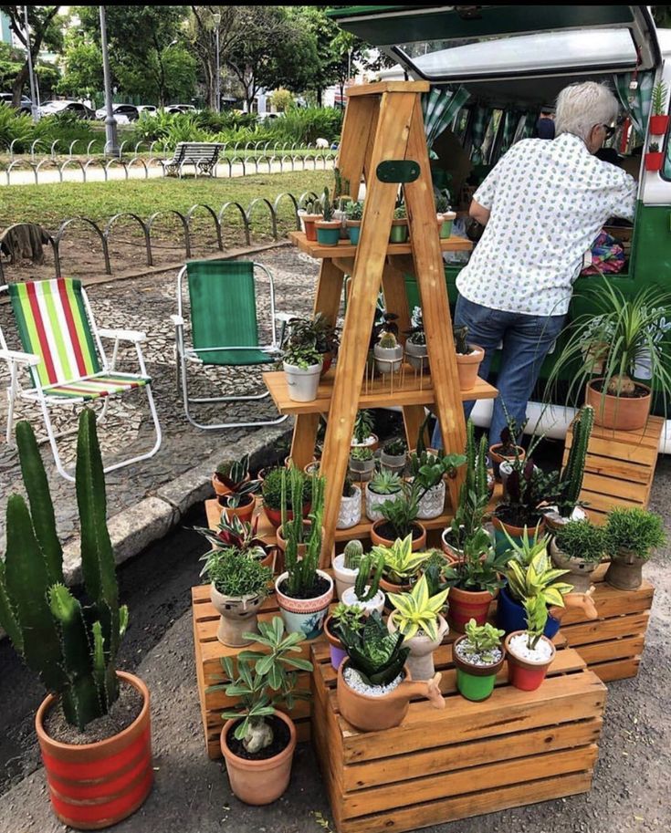 an old man standing next to a display of potted plants and succulents