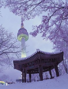 Winter in Seoul Tower Winter In Korea, Korea Itinerary, Seoul Tower, Namsan Tower, Korea Winter, Chuncheon, South Korea Seoul, South Korea Travel, Korea Travel