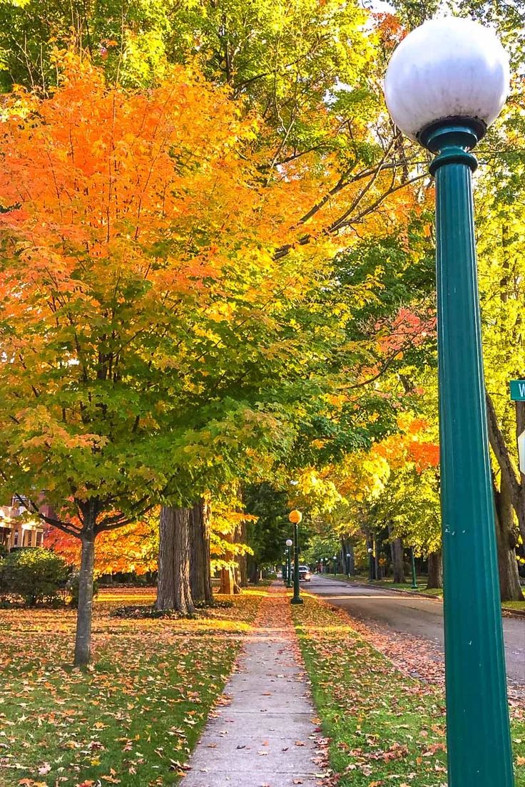 a street light sitting on the side of a road next to trees with orange and yellow leaves