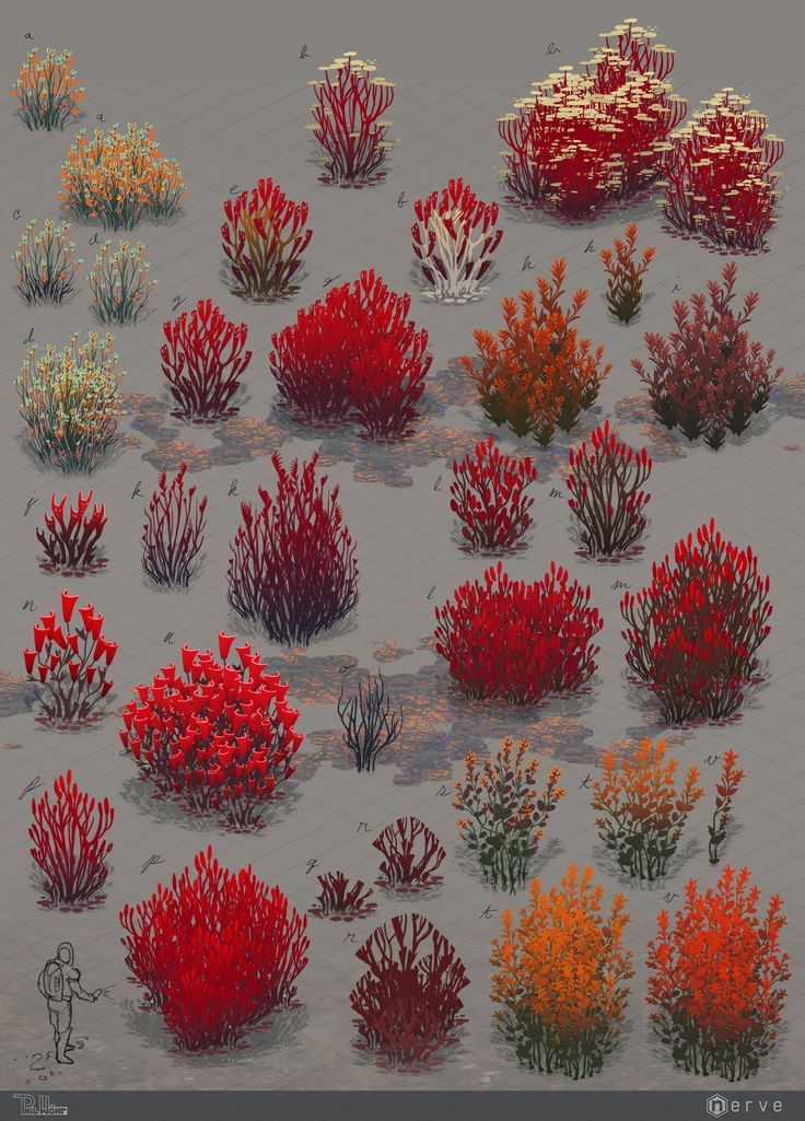 an array of red and orange plants on a gray surface