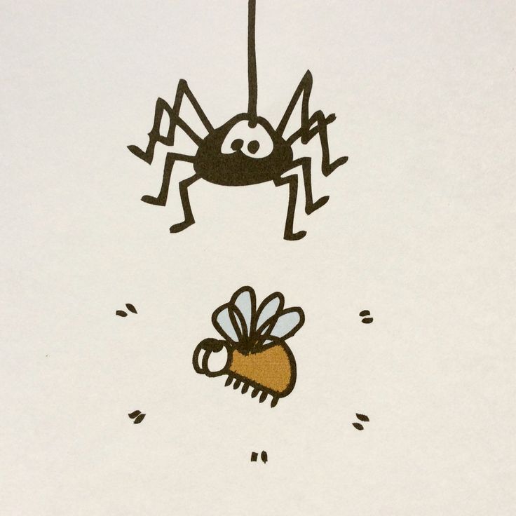 a drawing of a spider flying over a bee