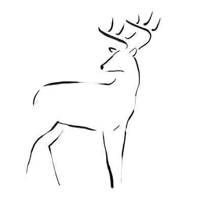 a black and white drawing of a deer