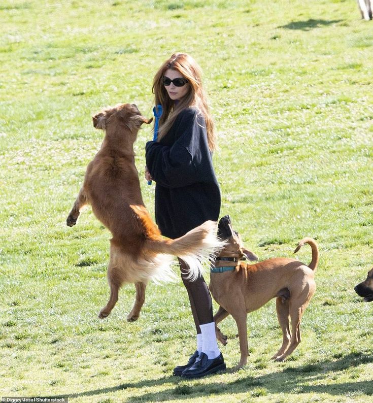 the woman is playing with her dogs in the park