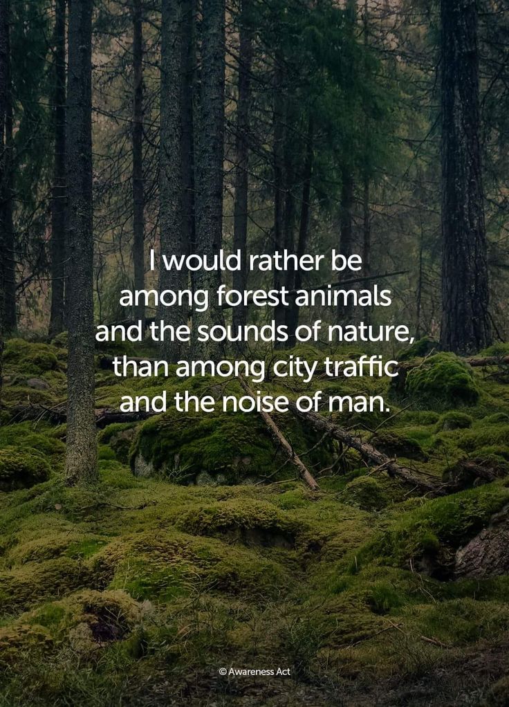 a forest filled with lots of green moss covered ground next to tall trees and the words, i would rather be among forest animals and the sounds of nature