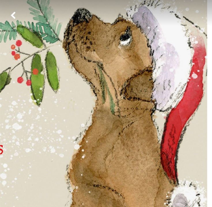 a brown dog wearing a santa hat and holding a red ribbon with the words merry christmas written on it