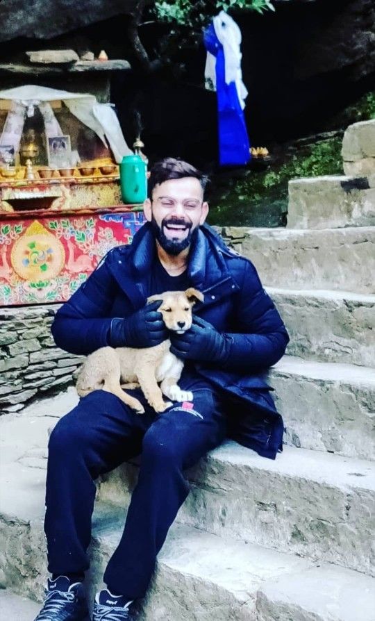 a man sitting on some steps holding a small dog in his lap and looking at the camera