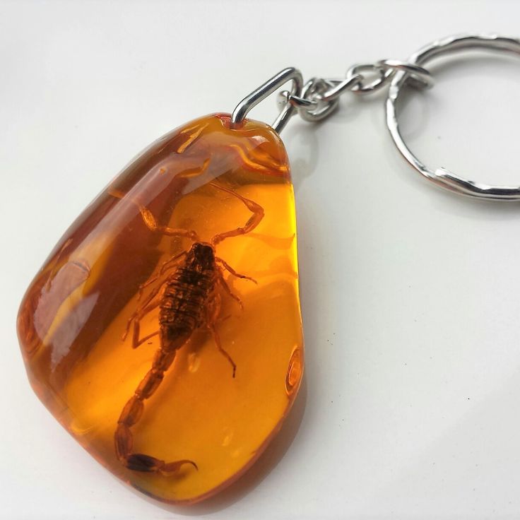 a keychain with a bug on it sitting on top of a white surface