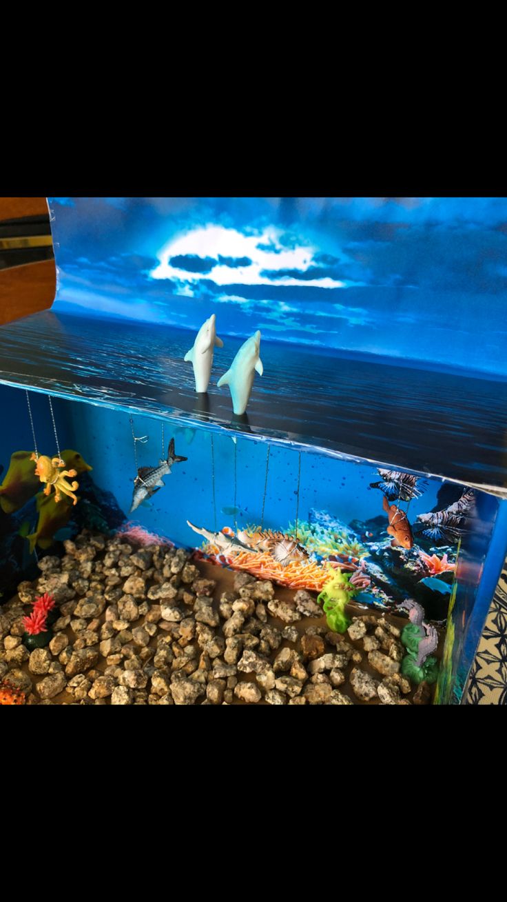 two dolphins swimming in an aquarium next to rocks and pebbles on the bottom of it