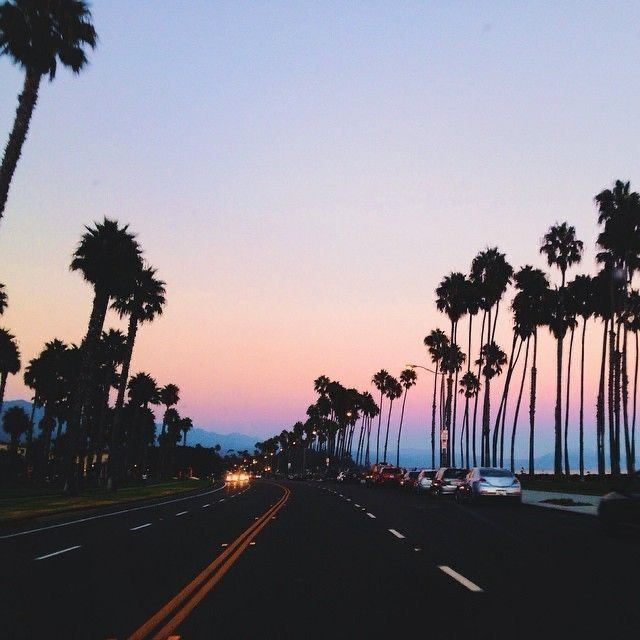 palm trees line the side of a road at dusk with cars driving down one lane