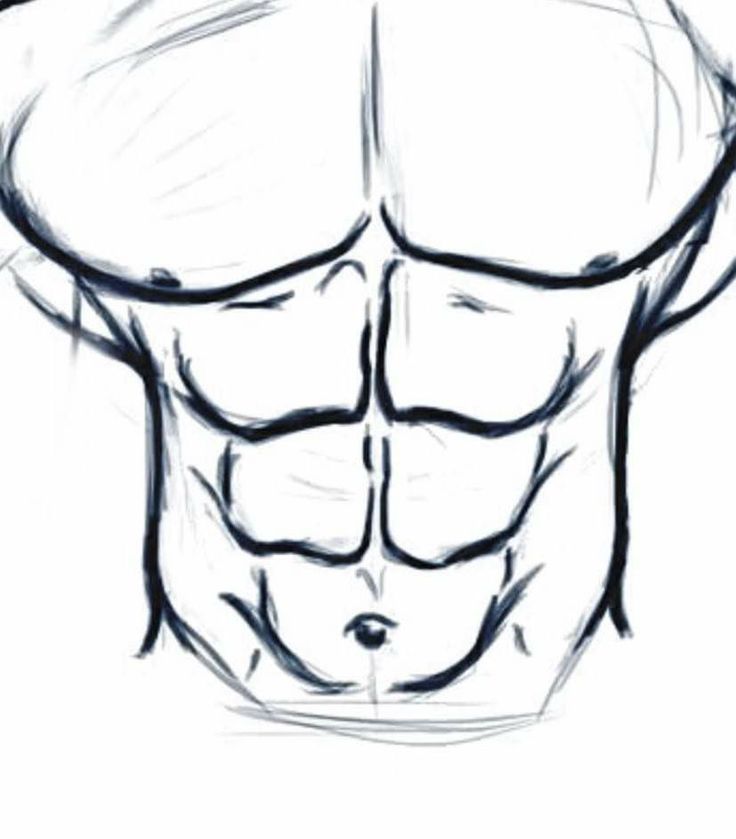 a drawing of a man's torso with no shirt on