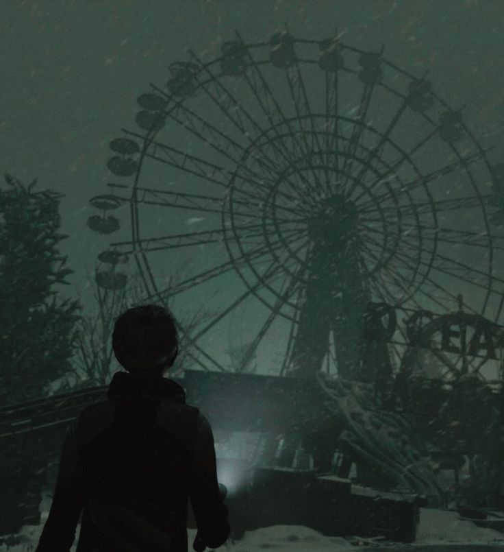 a person standing in front of a ferris wheel on a snow covered field at night