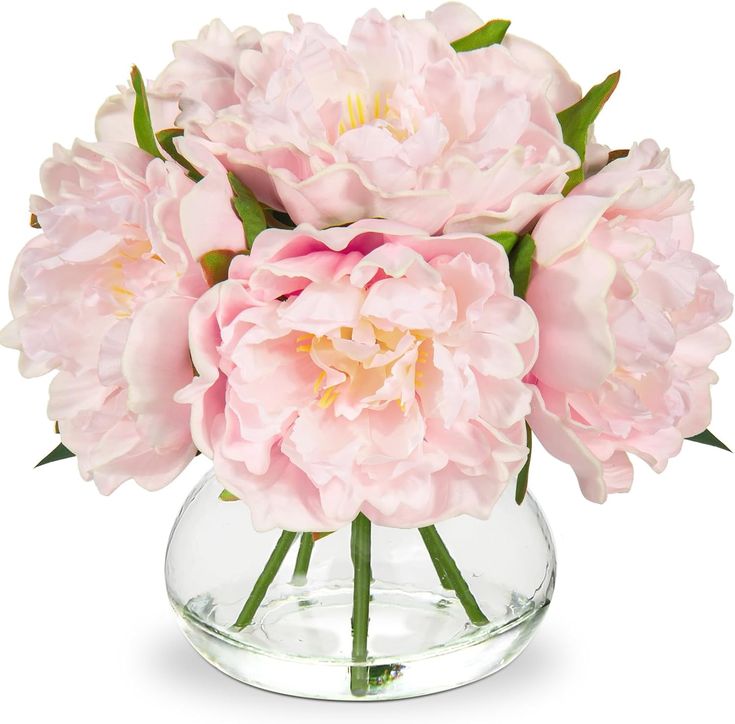 pink peonies in a clear vase on a white background with clippings