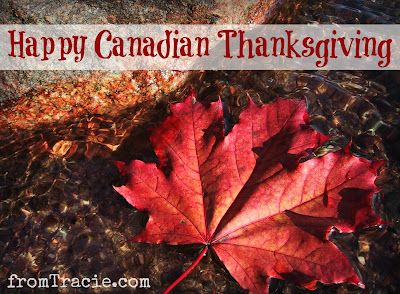 a happy canadian thanksgiving card with a red maple leaf laying on the ground in water