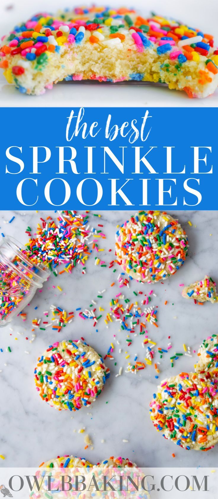 the best sprinkle cookie recipe ever