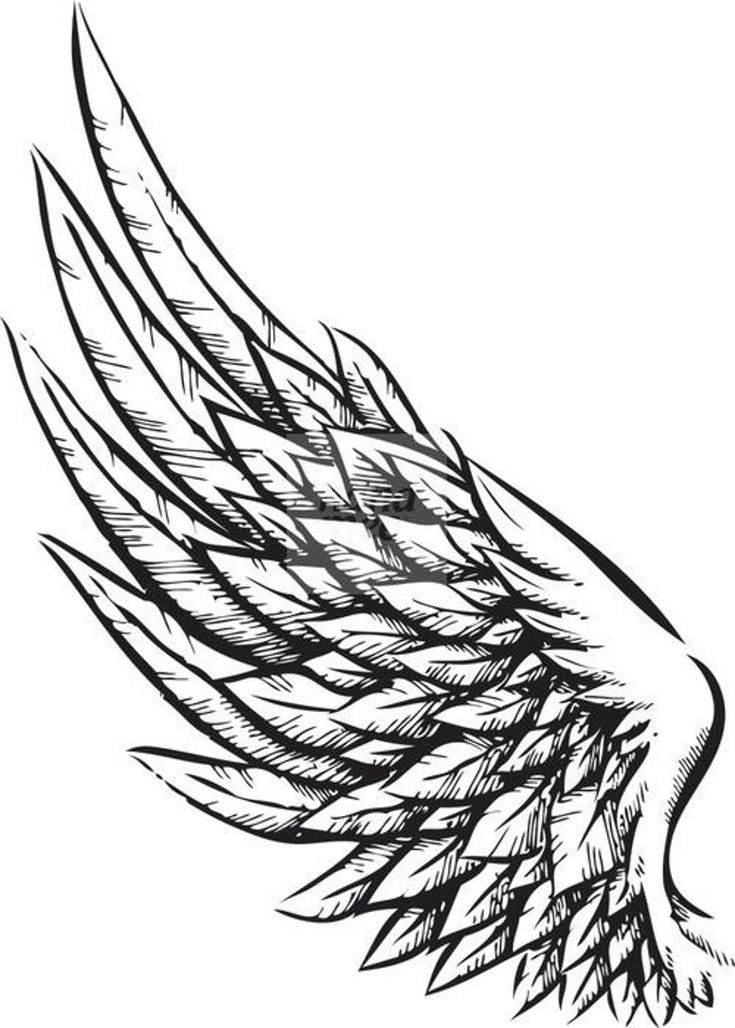 an eagle's wing is drawn in black and white