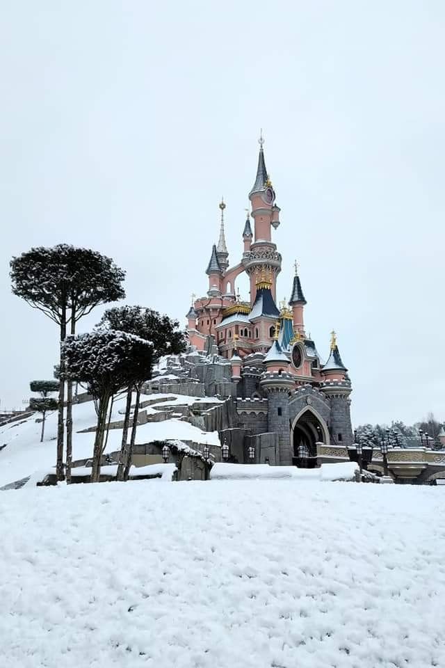 a castle is covered in snow with trees around it