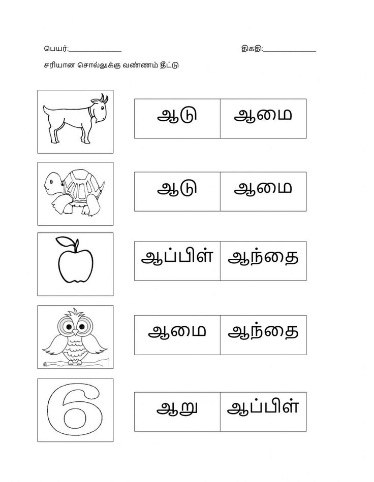 an english worksheet with pictures and words in the language for children to learn