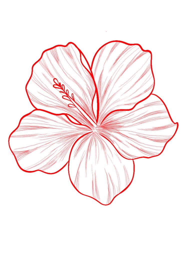 a drawing of a flower with red lines on the petals and leaves in the center