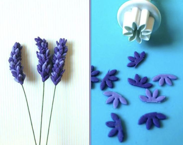 some purple flowers are sitting next to a white wall and a blue background is shown