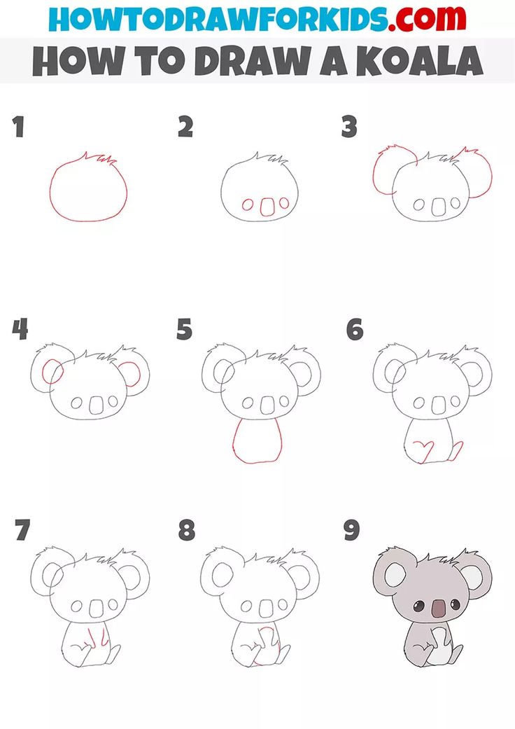 how to draw a koala for kids with easy step by step instructions and pictures