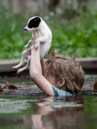 #Serbia #floods #2014 #help - Little kid saving his dog Angels Among Us, Jolie Photo, 인물 사진, Faith In Humanity, Small Dog, Jack Russell, Mans Best Friend, Animals Friends, Serbia