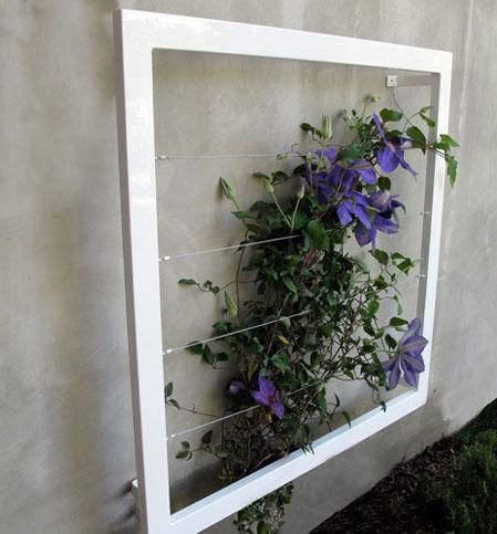 purple flowers are growing on the outside of a wall mounted planter that is attached to a white stucco wall