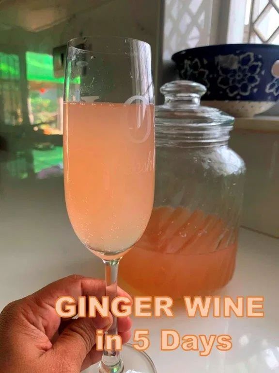 a person holding a wine glass in front of a jar with pink liquid on it