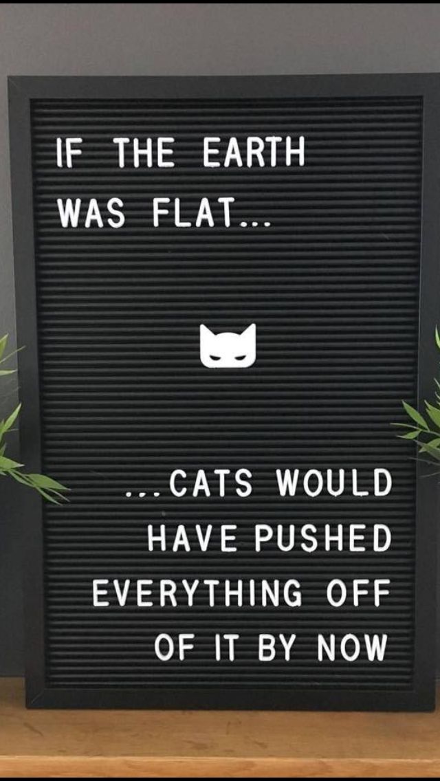 a sign that says if the earth was flat cats would have pushed everything off of it by now