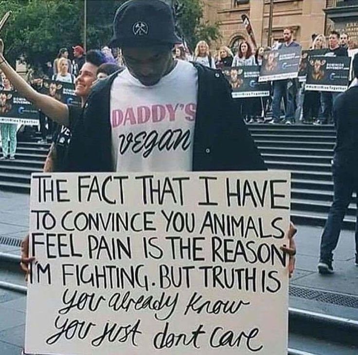 Reasons To Be Vegan, Vegan Facts, Vegan Memes, Animal Activism, Vegan Quotes, Why Vegan, Animal Liberation, Vegan Inspiration, Animal Advocacy