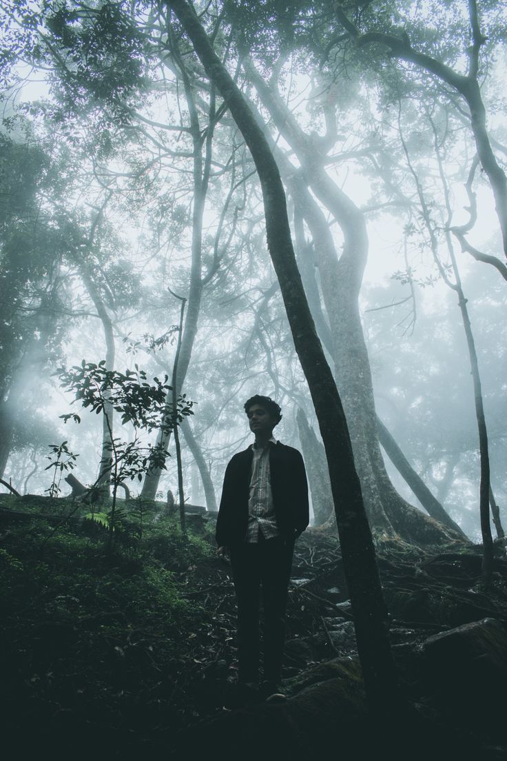 a man standing in the middle of a forest on a foggy day with trees