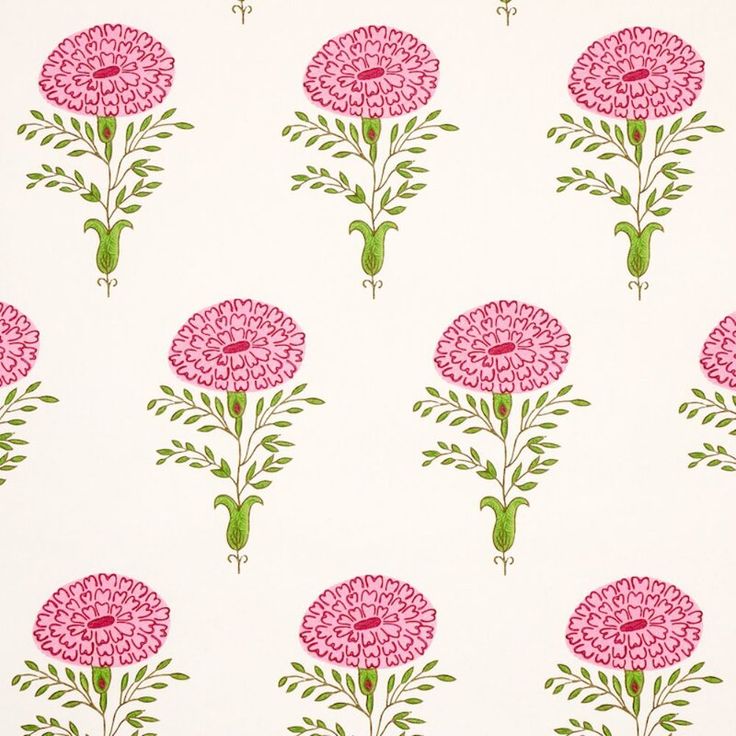 pink flowers are on a white background with green leaves and stems in the center,