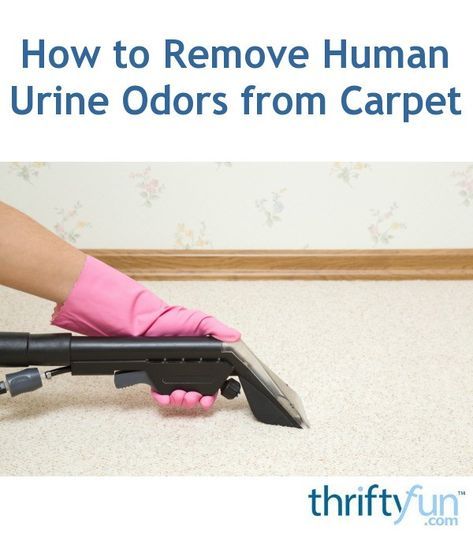 a person in pink gloves holding a knife on top of a carpet with the words how to remove human urine odors from carpet