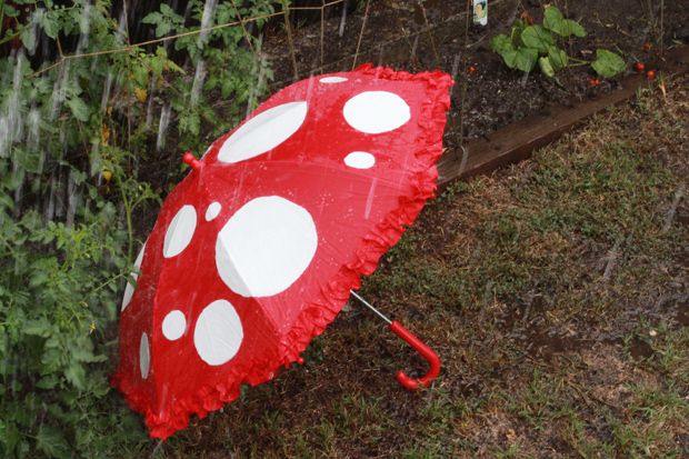 a red and white polka dot umbrella sitting on top of a grass covered ground next to trees