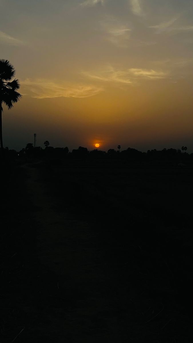 the sun is setting behind a palm tree in an empty field with no grass on it