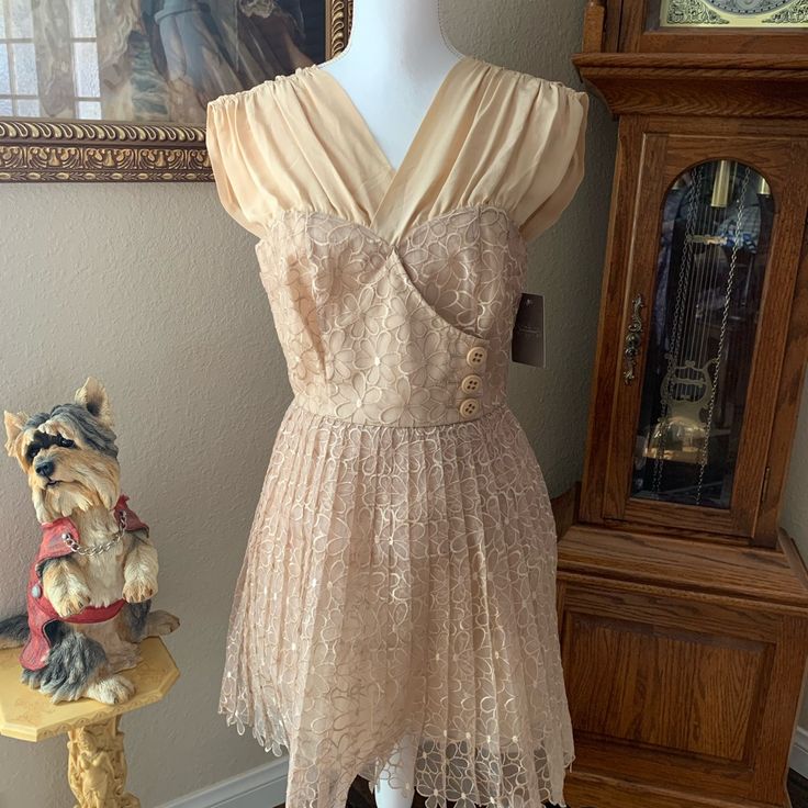 This Is A New Party, Wedding, Dance Dress! It Is Beautifully Embroidered And The Color Is Biscuit. Parts Of It Are Silk ,But Not Sure The Skirt Material? It’s Kind Of Stiff Material That Holds Its Shape But Not Too Stiff And Is Lined. Has Cute Buttons On The Front And Extra. Summer Wedding Vintage V-neck Dress, Fitted Lace Dress For Spring, Beige Lace Bridesmaid Dress, Bridesmaid Beige Lace Dress, Vintage Fitted Mini Dress For Wedding, Summer Vintage V-neck Wedding Dress, A-line Lined Wedding Dresses, Cream Lace Bridesmaid Dress, Spring Wedding Vintage Dress With V-neck