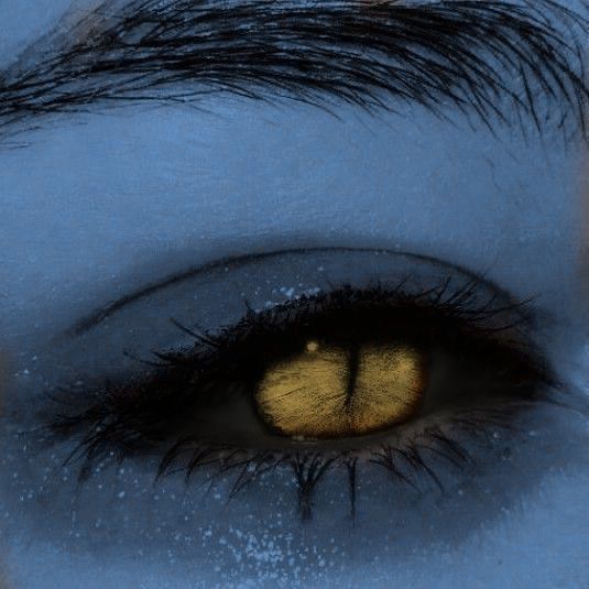 an eye with blue and yellow painted on it's iris, as well as the bottom part of its eyelashes