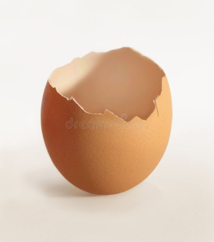 an egg shell on a white background royalty images